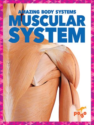 cover image of Muscular System